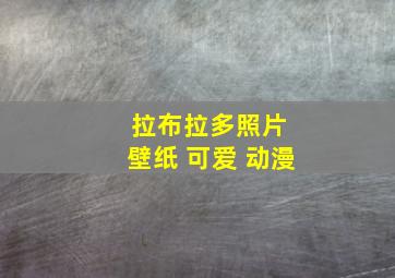 拉布拉多照片 壁纸 可爱 动漫